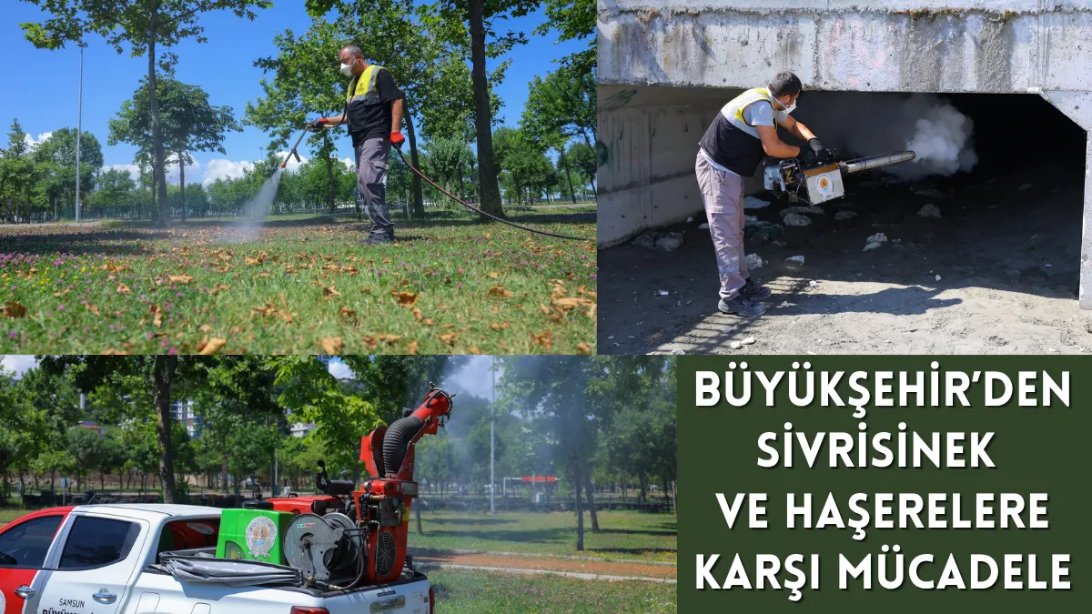 Büyükşehir'den sivrisinek ve haşerelere karşı mücadele